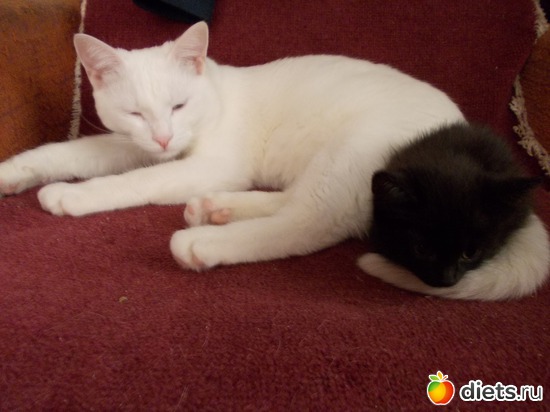 18 ����: �����������, ��� ��������� ����. ��� � ���. ����� � ������.