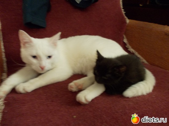 20 ����: �����������, ��� ��������� ����. ��� � ���. ����� � ������.