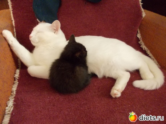 21 ����: �����������, ��� ��������� ����. ��� � ���. ����� � ������.