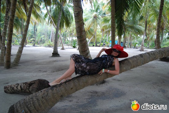 6 ����: ������������� ����������