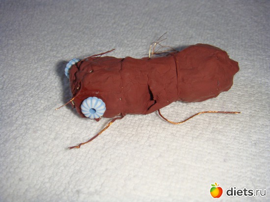 1 ����: ������� ���� ������, �����, � ������� � ����.