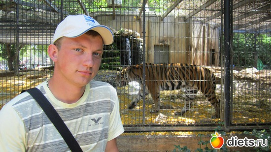 6 ����: ��� �������!