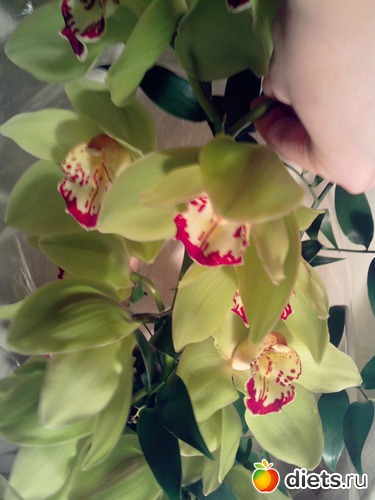 13 фото: День рождения!