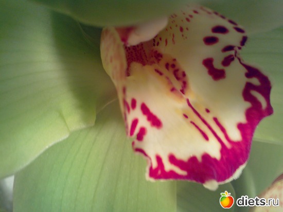 14 фото: День рождения!