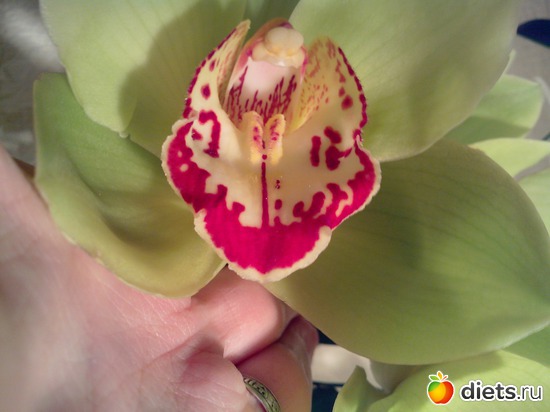 15 фото: День рождения!