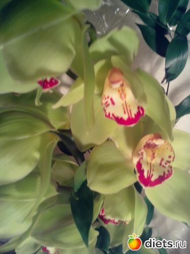 30 фото: День рождения!