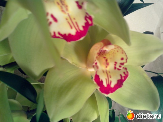 31 фото: День рождения!