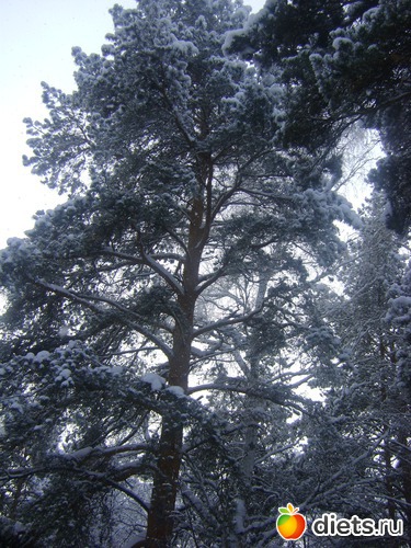 3 фото: Увильды 2013