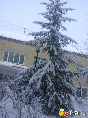 4 ����: ������� 2013