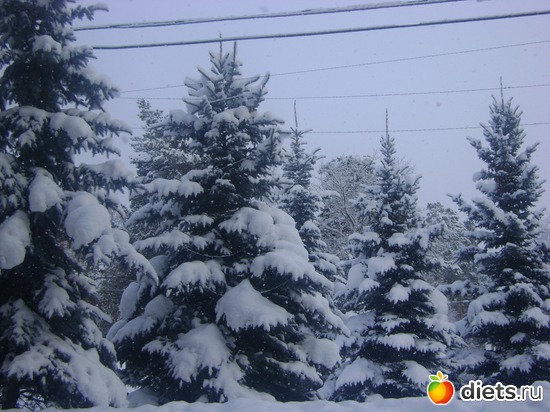 5 фото: Увильды 2013