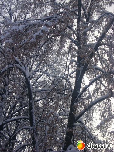 6 фото: Увильды 2013