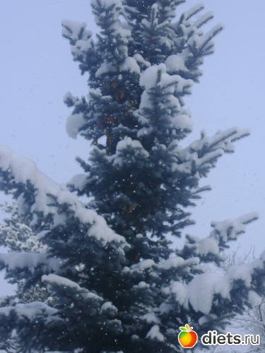 8 фото: Увильды 2013