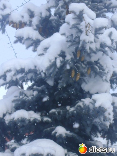 9 фото: Увильды 2013