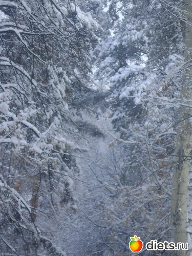 10 фото: Увильды 2013