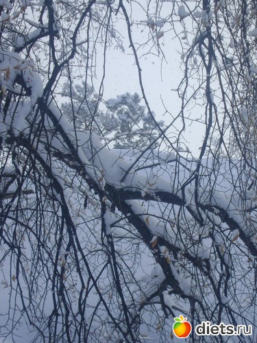 11 ����: ������� 2013