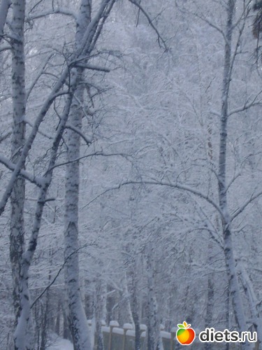 12 фото: Увильды 2013