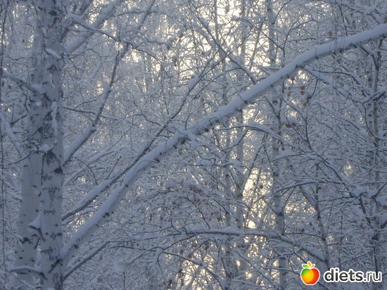 13 ����: ������� 2013