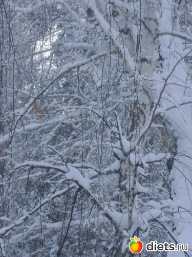 14 фото: Увильды 2013