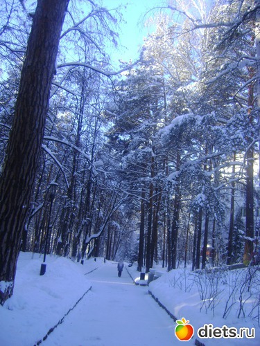 16 ����: ������� 2013