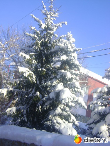 17 фото: Увильды 2013