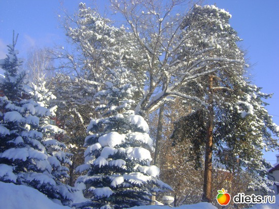 18 фото: Увильды 2013