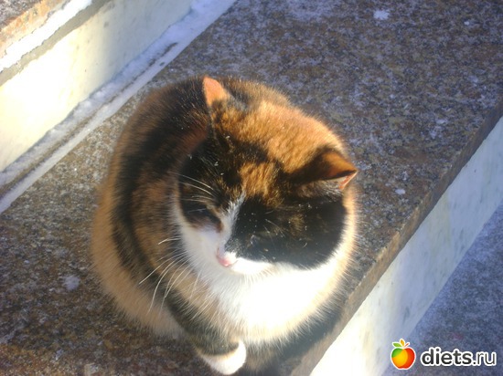 19 фото: Увильды 2013