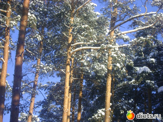 20 фото: Увильды 2013