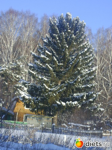 24 ����: ������� 2013