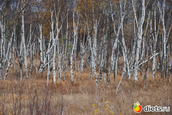 22 ����: ����� � �������