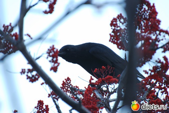 23 ����: ����� � �������