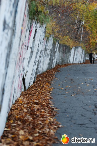 24 ����: ����� � �������