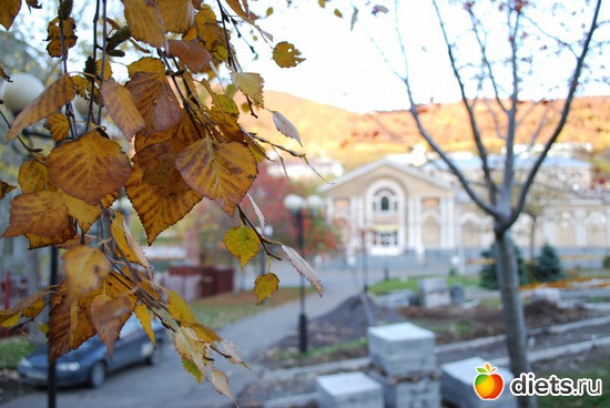 26 ����: ����� � �������