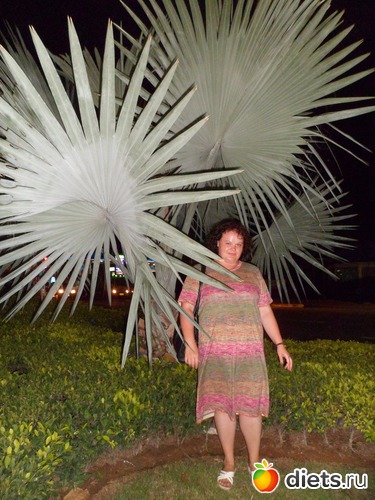 1 фото: до мыслей о стройности