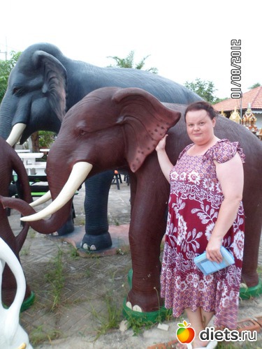 4 ����: �� ������ � ����������