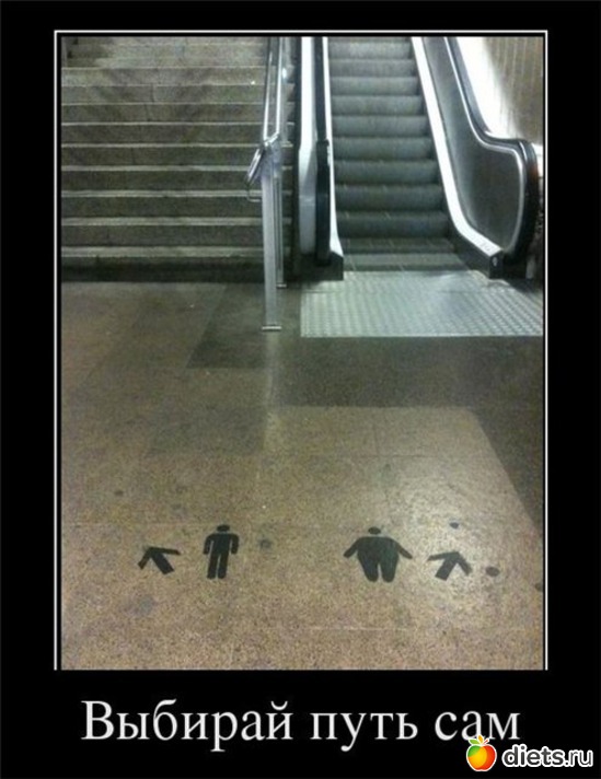 6 ����: ����������