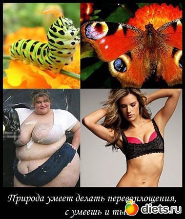 альбомчик для худеющих)))))))))))