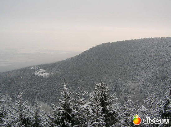 4 ����: ���, ����!