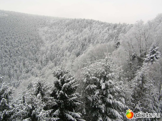 11 ����: ���, ����!