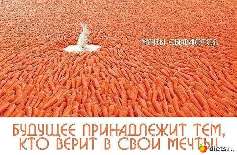 1 ����: ��������� ��� ��������)))))))))))