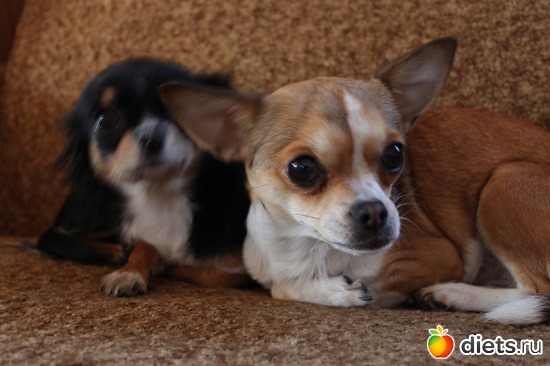 2 ����: ��� ������