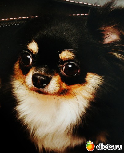 3 ����: ��� ������