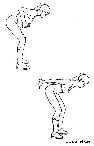 Мои упражнения