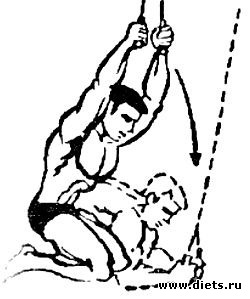 ��� ����������