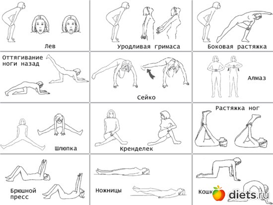 1 ����: ���������