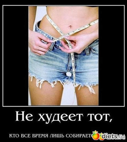 3 ����: ���������