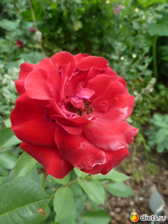 5 ����: ��� ���