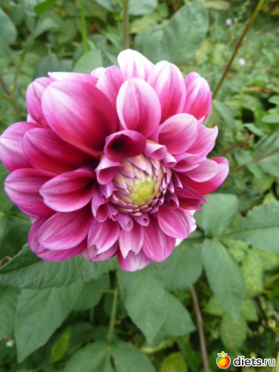 6 ����: ��� ���