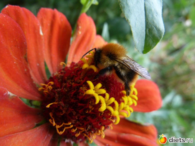 7 ����: ��� ���