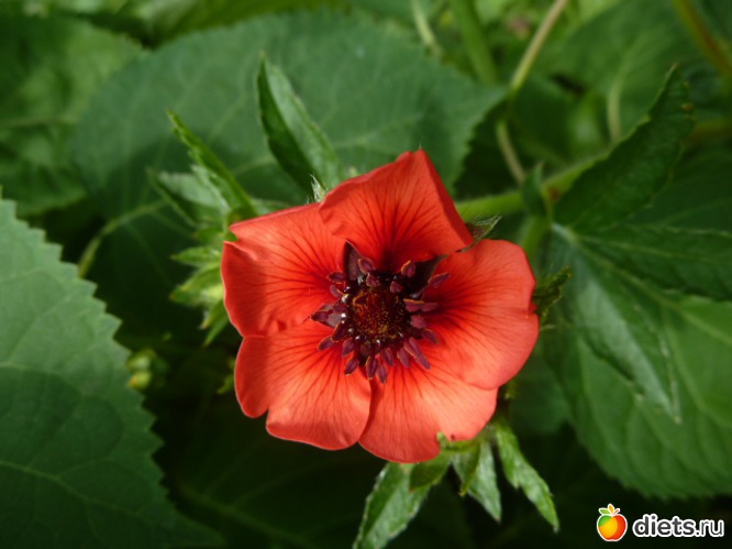 8 ����: ��� ���