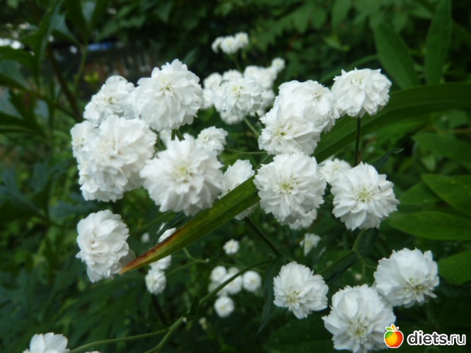 11 ����: ��� ���